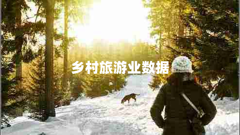 鄉村旅游業(yè)數據