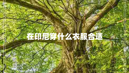 在印尼穿什么衣服合適