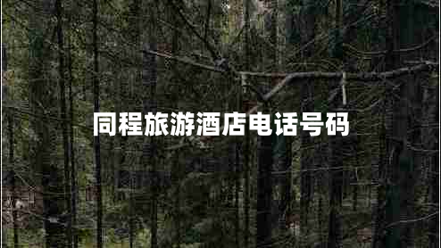同程旅游酒店電話(huà)號碼