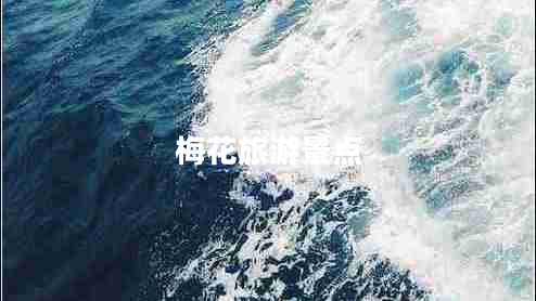 梅花旅游景點(diǎn)