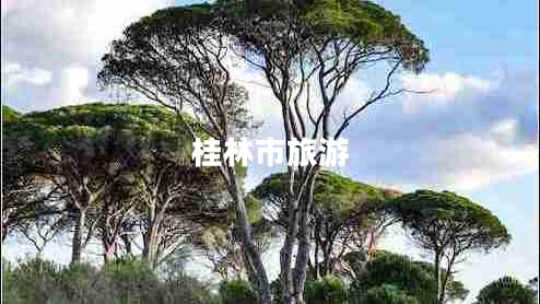 桂林市旅游