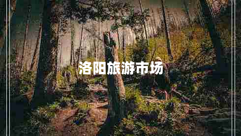 洛陽(yáng)旅游市場(chǎng)