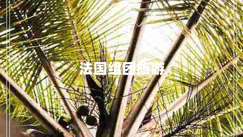 法國組團旅游