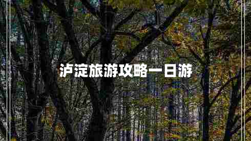 瀘淀旅游攻略一日游