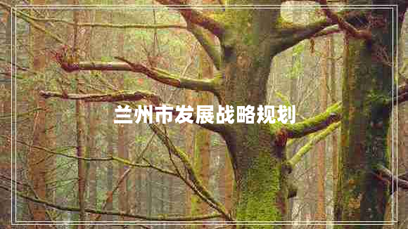 蘭州市發(fā)展戰略規劃