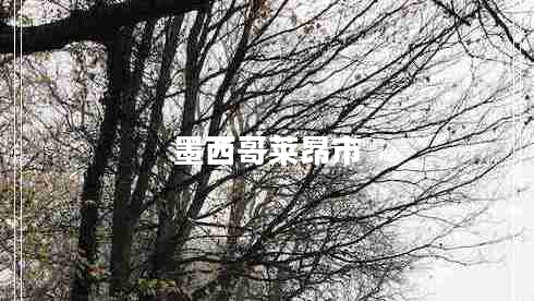 墨西哥萊昂市