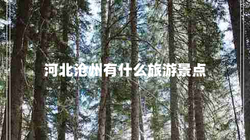 河北滄州有什么旅游景點(diǎn)