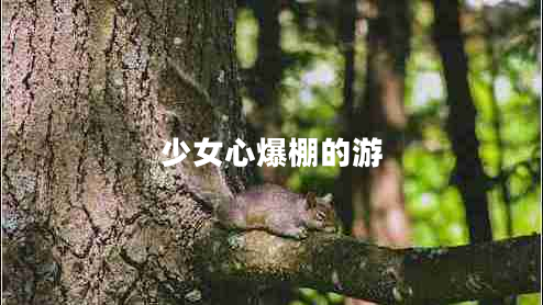 少女心爆棚的游