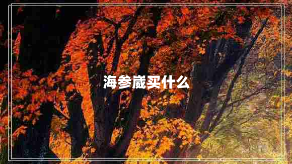 海參崴買(mǎi)什么