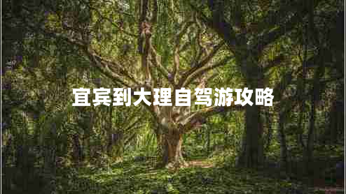 宜賓到大理自駕游攻略