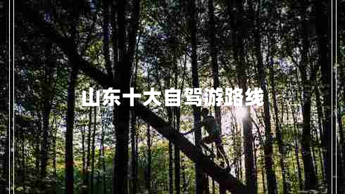 山東十大自駕游路線(xiàn)