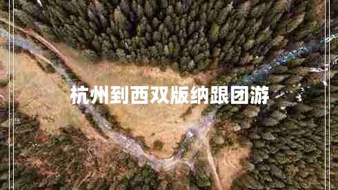 杭州到西雙版納跟團游