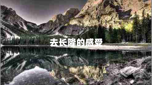 去長(cháng)隆的感受