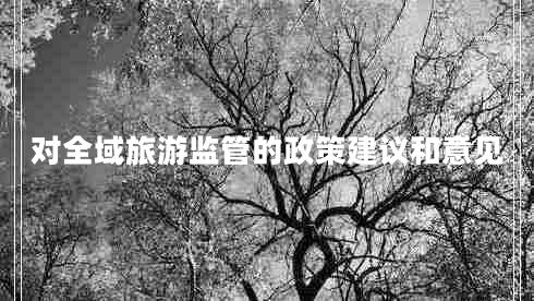 對全域旅游監管的政策建議和意見(jiàn)