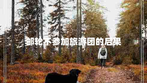 郵輪不參加旅游團的后果