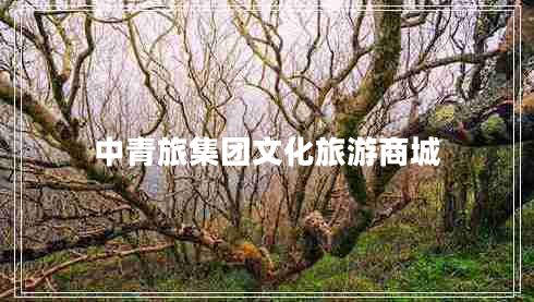 中青旅集團文化旅游商城