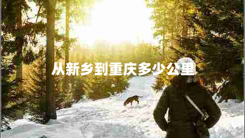 從新鄉到重慶多少公里