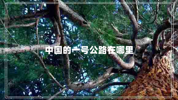 中國的一號公路在哪里