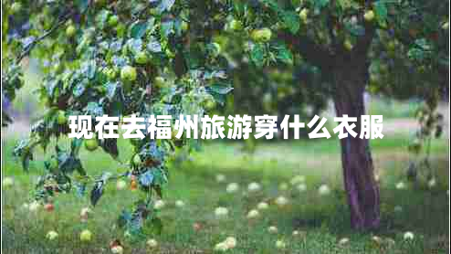 現在去福州旅游穿什么衣服