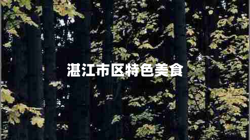 湛江市區特色美食