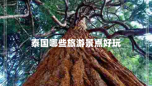 泰國哪些旅游景點(diǎn)好玩