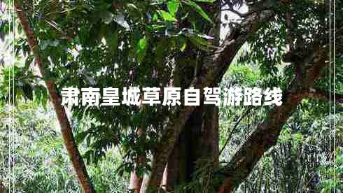 肅南皇城草原自駕游路線(xiàn)