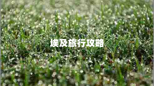 埃及旅行攻略