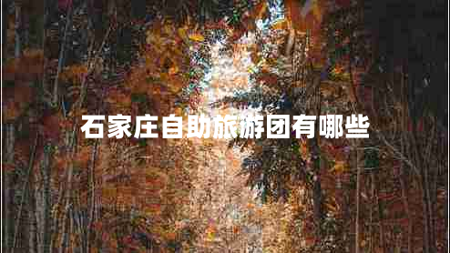 石家莊自助旅游團有哪些