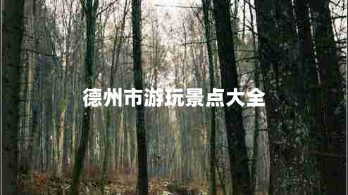 德州市游玩景點(diǎn)大全