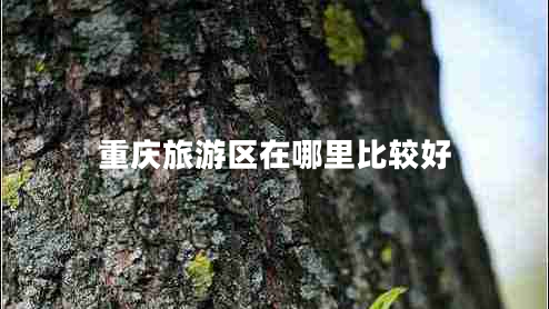 重慶旅游區在哪里比較好