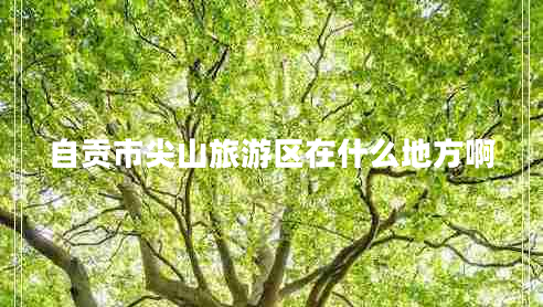 自貢市尖山旅游區在什么地方啊