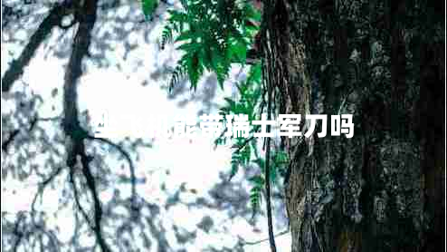 坐飛機能帶瑞士軍刀嗎