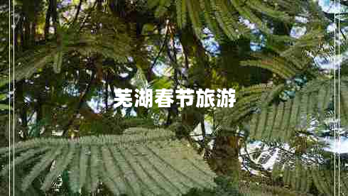 蕪湖春節旅游