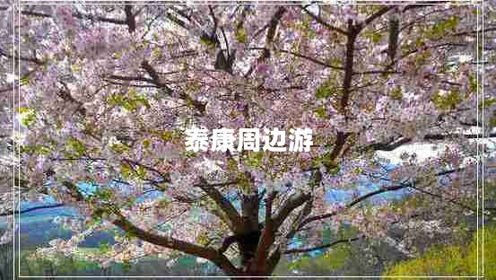 泰康周邊游