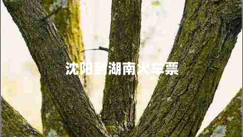 沈陽(yáng)到湖南火車(chē)票