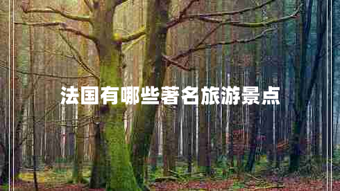 法國有哪些著(zhù)名旅游景點(diǎn)