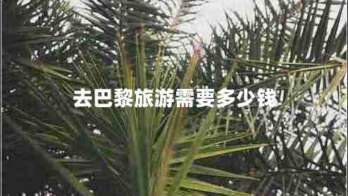 去巴黎旅游需要多少錢(qián)