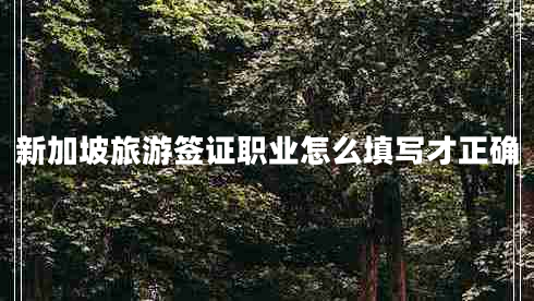 新加坡旅游簽證職業(yè)怎么填寫(xiě)才正確