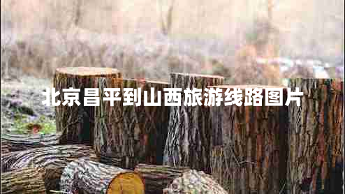 北京昌平到山西旅游線(xiàn)路圖片