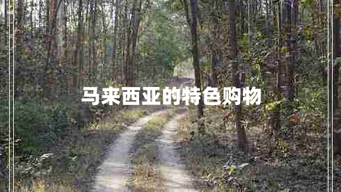 馬來(lái)西亞的特色購物