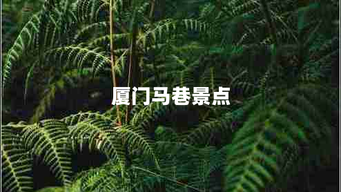 廈門(mén)馬巷景點(diǎn)