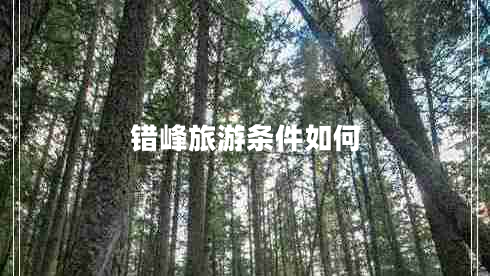 錯峰旅游條件如何