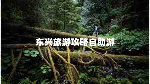 東興旅游攻略自助游