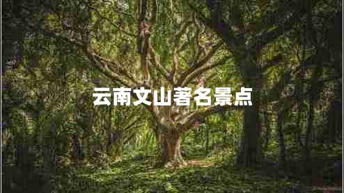 云南文山著(zhù)名景點(diǎn)