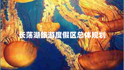 長(cháng)蕩湖旅游度假區總體規劃