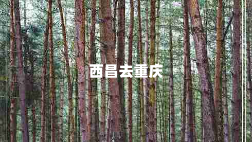西昌去重慶