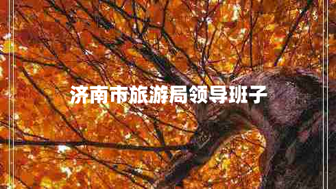 濟南市旅游局領(lǐng)導班子