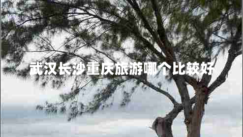武漢長沙重慶旅游哪個比較好