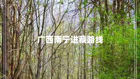 廣西南寧進(jìn)藏路線(xiàn)