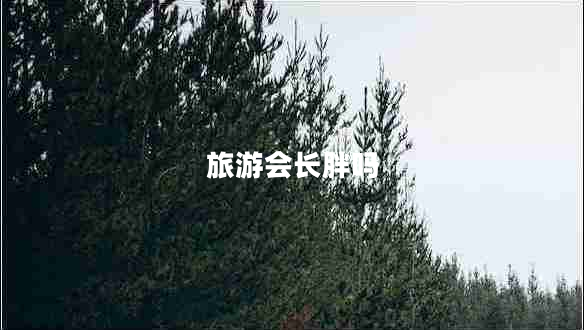 旅游會(huì )長(cháng)胖嗎